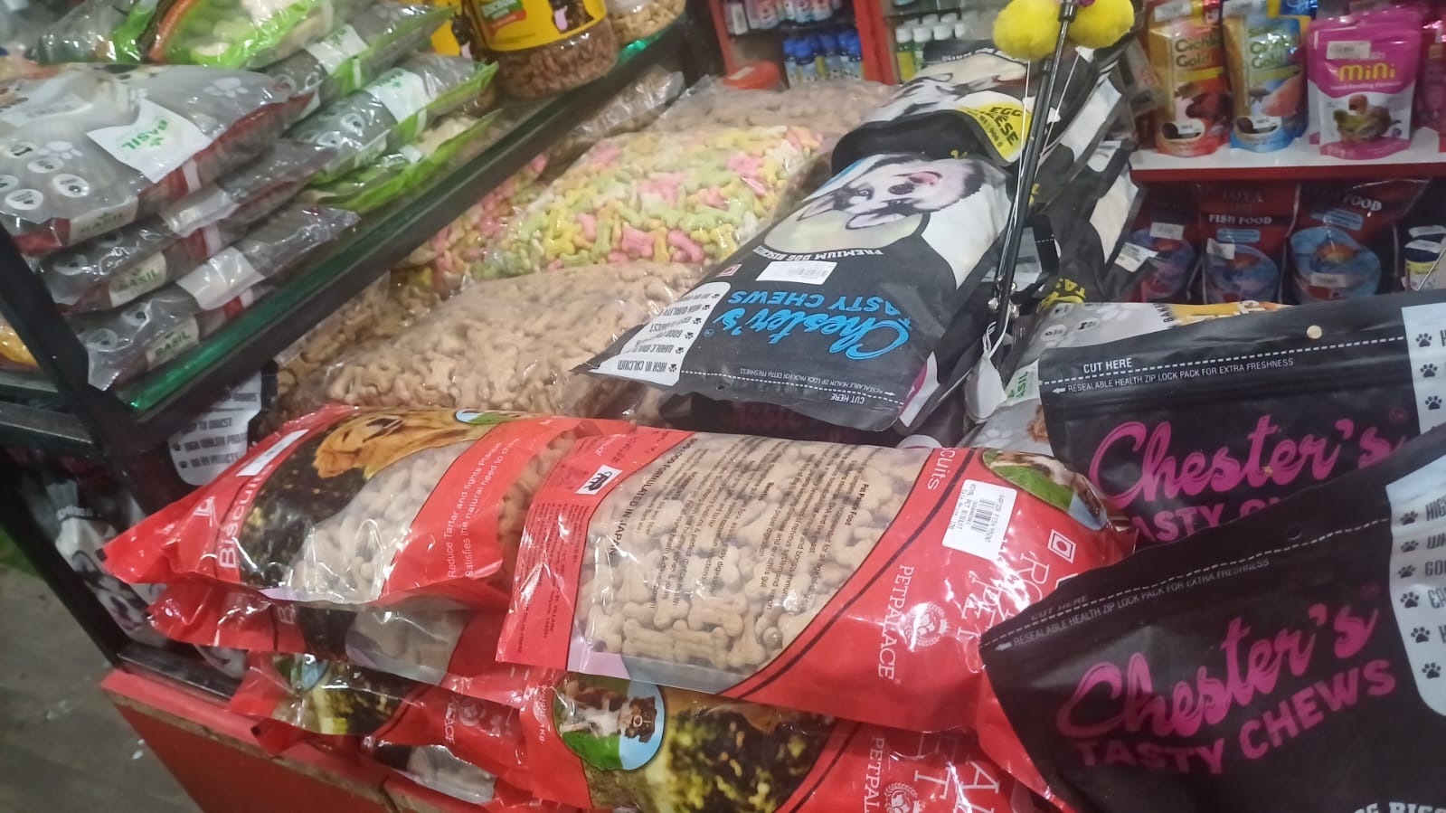 Dog Biscuit